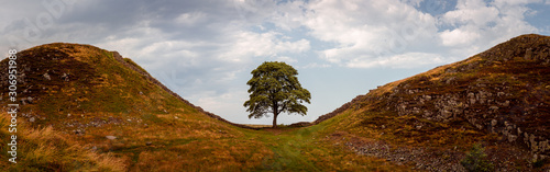Photos Sycamore Gap