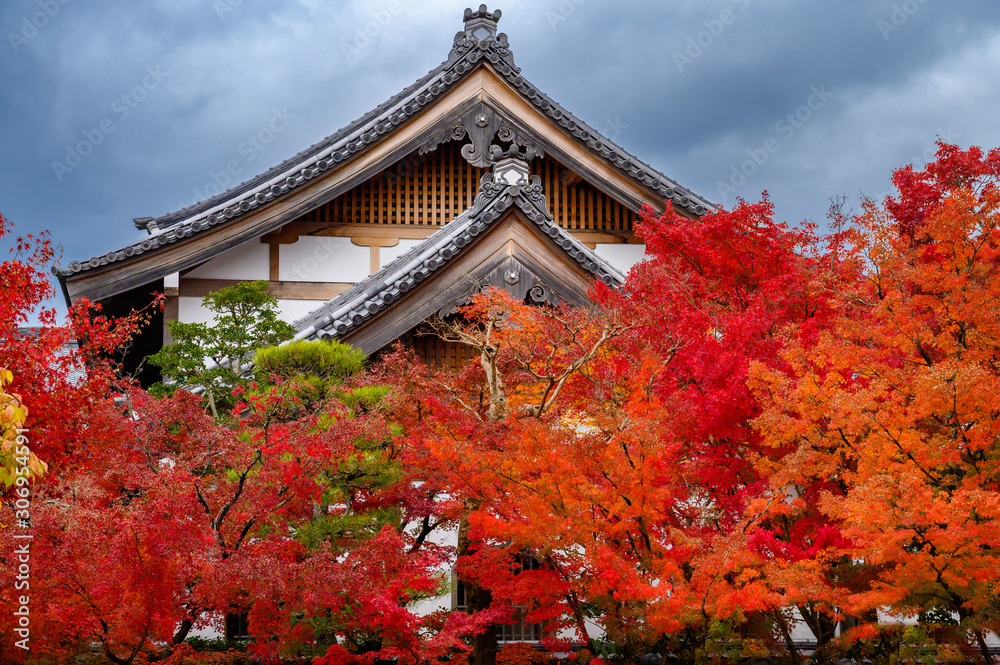 Eikando temple foliage in Kyoto, Japan. Eikando temple foliage in Kyoto, Japan.