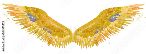 Beautiful golden wings watercolor spreaded wings with touch of blue color