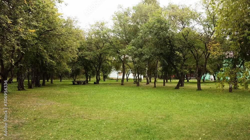 Green lawn in the city park and green foliage swaying slowly in the wind on a sunny summer day. Stock footage. Bright fresh meadow, growing trees, and old wooden bench.