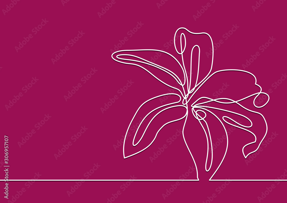 Obraz premium beautiful flower-continuous line drawing