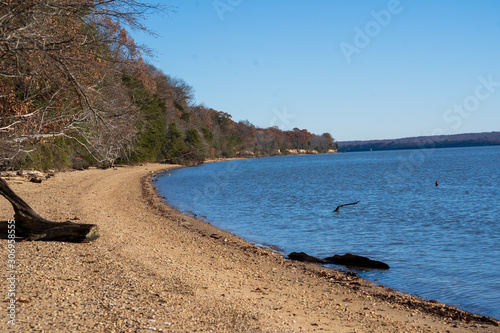 Scenic coastal landscape with driftwood  stones and trees by the beach. Peaceful nature scene Potomac coastline scenery in Maryland in the autumn fall.