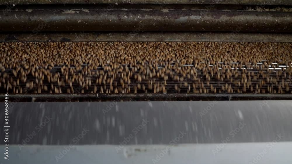 Close up view - pet food grain mill machine: mixed feed production line at factory