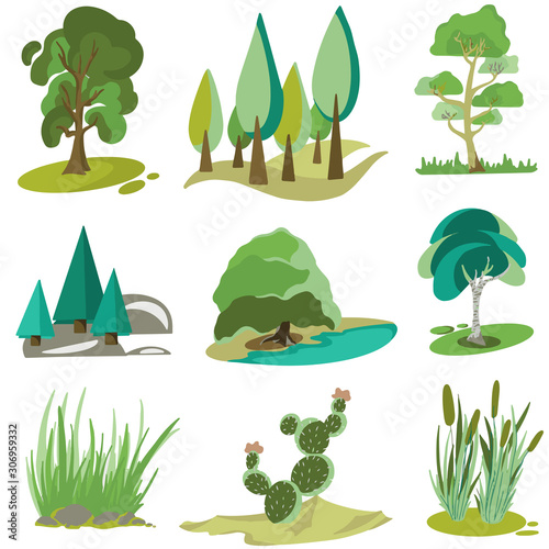 Vector illustration of set of different kind of tree and grass on white background