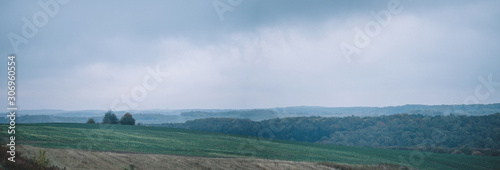 morning in green fields shrouded in fog and clouds photo