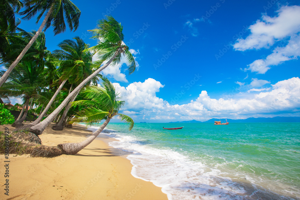 beach and coconut palm trees. Koh Samui, Thailand - obrazy, fototapety, plakaty 