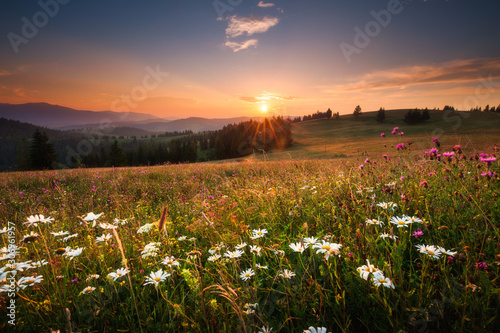 Scenic spring landscape with valley