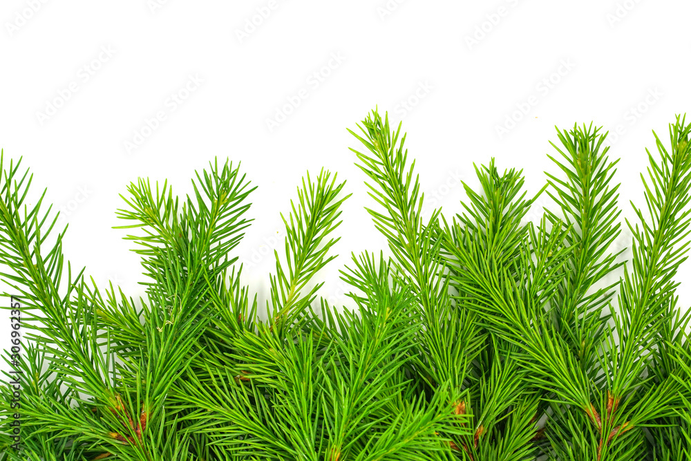 Spruce branch isolated on white background. Green fir. Christmas tree Spruce branch isolated on white background. Green fir. Christmas tree