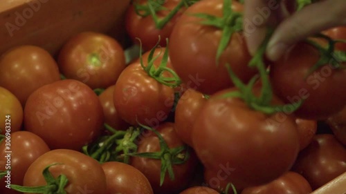 Picking tomato on a farmers market. Slow motion video.