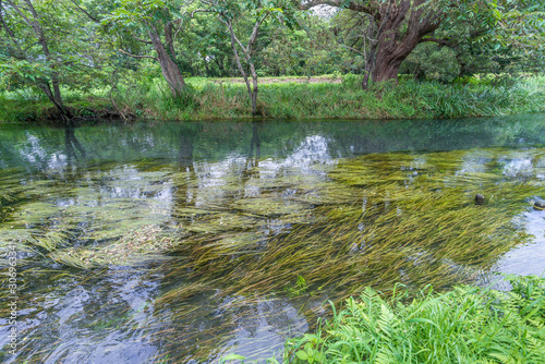 Sai river          near the Daio Wasabi Farm in Azumino  Nagano Prefecture  Japan