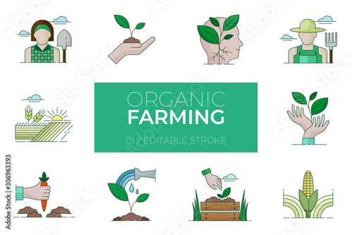 Set of Organic Farming color icons - Modern icons	