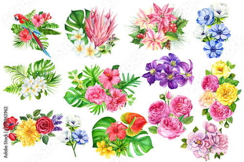 Fototapeta Naklejka Na Ścianę i Meble -  tropical plants, summer bouquets flower on an isolated white background, watercolor illustration, botanical painting, monstera, plumeria, clematis, protea, roses, anthurium, anemones