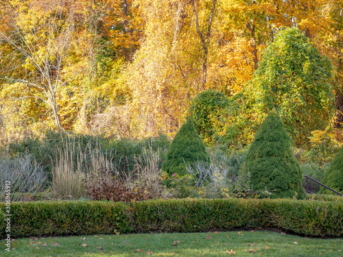 autumn in the park