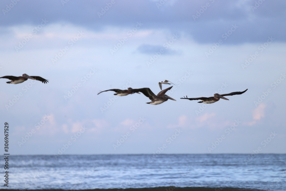 Fototapeta premium Beautiful locations on Naples - Fl