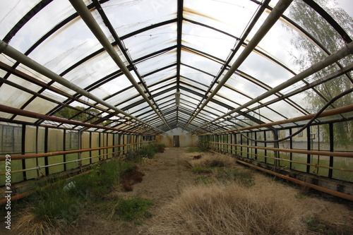abandoned greenhouse with plants