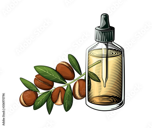 Argan oil bottle illustration. Essential oil glass bottle and argan branch in color.
