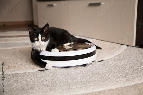 A black cat plays with a robotic vacuum cleaner that cleans the floor.pet playing with robot vacuum cleaner