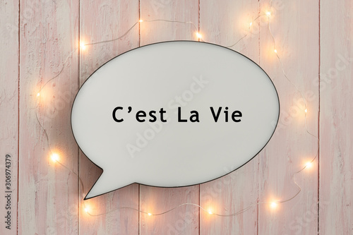 C'est La Vie On Speech Bubble with Fairy Lights