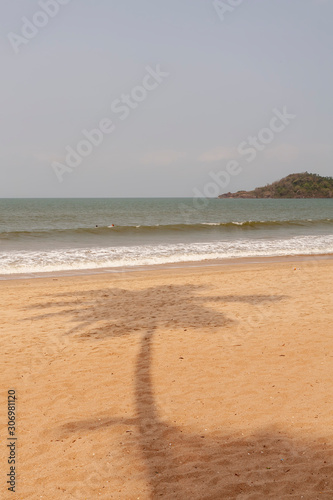 palm tree shadow on beach in India