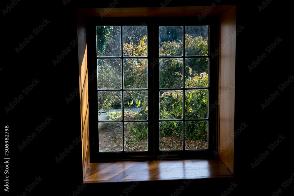garden throw a window