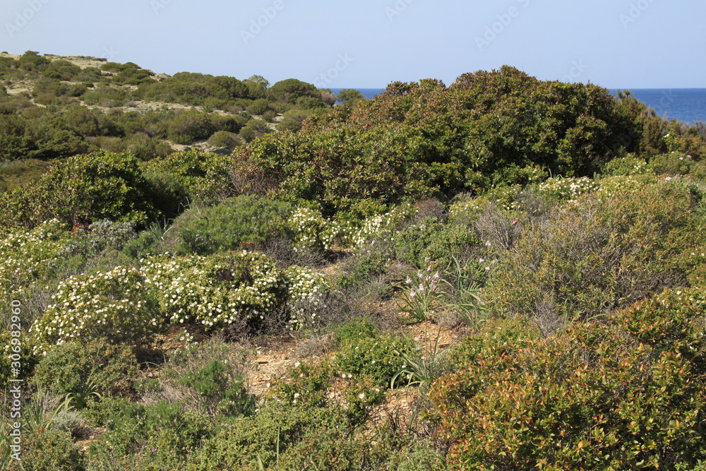 Sentier des douaniers