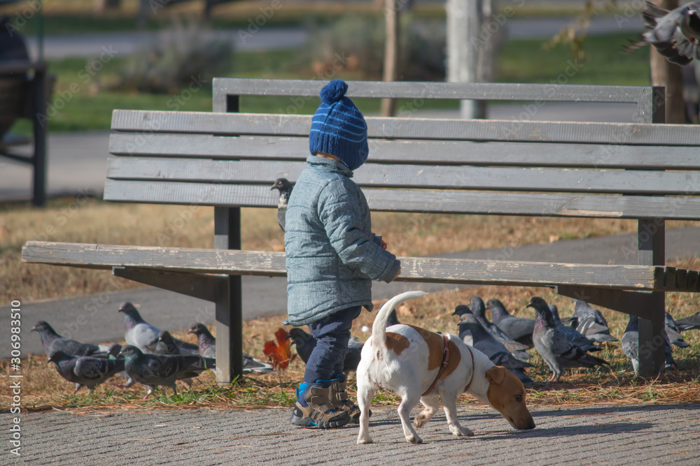 Little boy playing with pigeons in city park in Belgrade, Serbia