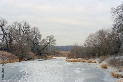 Wallpaper Mural The first ice on the river. River bank with thickets of dry brown grass, trees and cloudy sky. Autumn landscape Torontodigital.ca