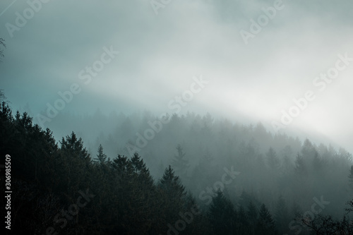 Low hanging clouds and fog in the mountains top of pine trees on a moody dark winter day with contrastful cold color tones. National Park Harz Mountains in Germany