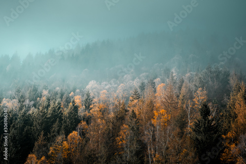 Aerial drone view of a mountain forest with colorful autumn tree color 