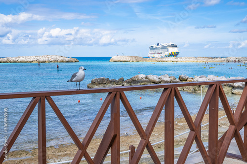 Seagulls and tropical blue water with cruise ship in the Bahamas © MODpix