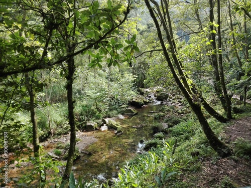 Paisaje de M  xico