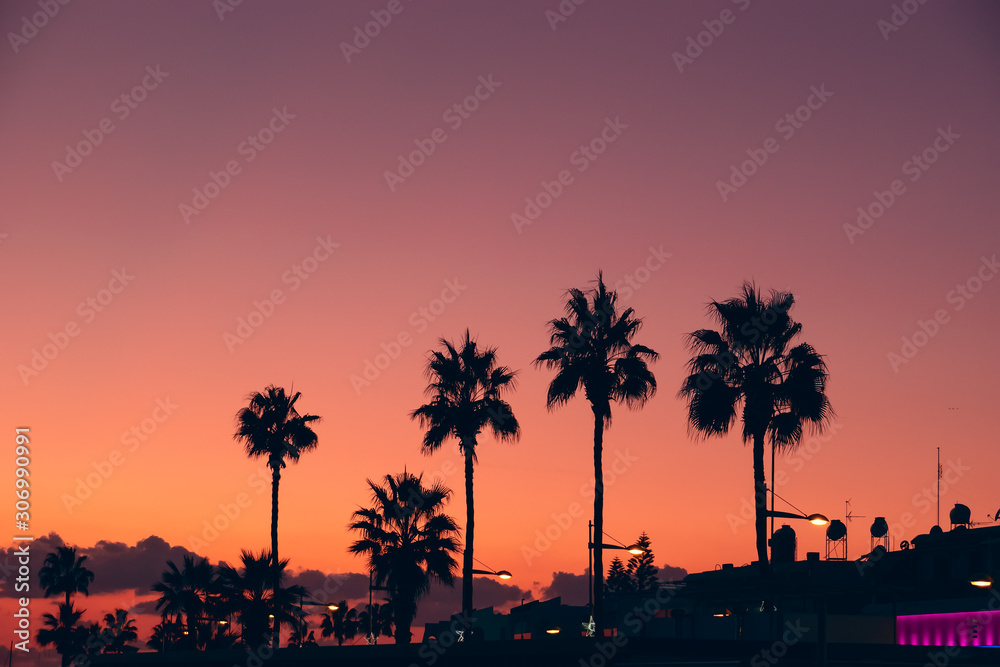 Silhouettes of palms at orange and violet sunset sky background on tropical resort embankment, copy space for text. Vacations and travel concept. Silhouettes of palms at orange and violet sunset sky background on tropical resort embankment, copy space for text. Vacations and travel concept.
