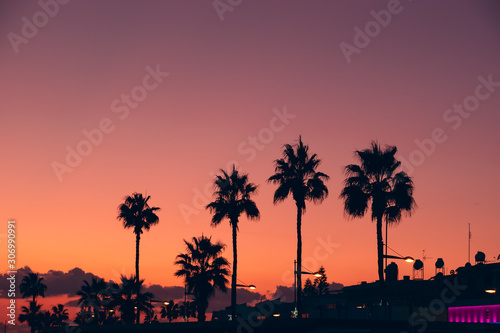 Silhouettes of palms at orange and violet sunset sky background on tropical resort embankment, copy space for text. Vacations and travel concept.