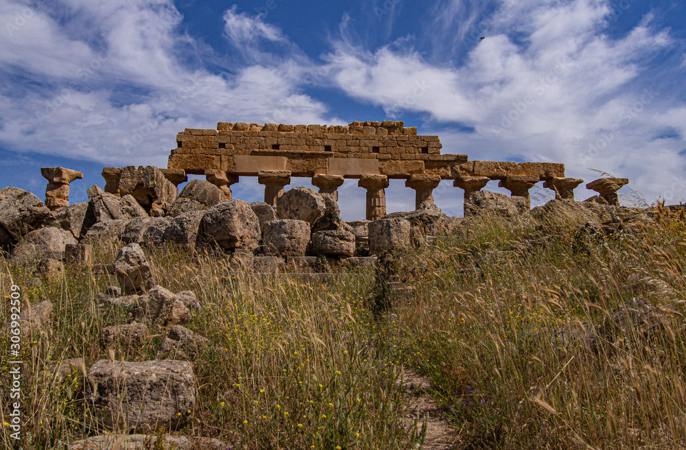 Fototapeta premium Selinunt - Antic Greek City
