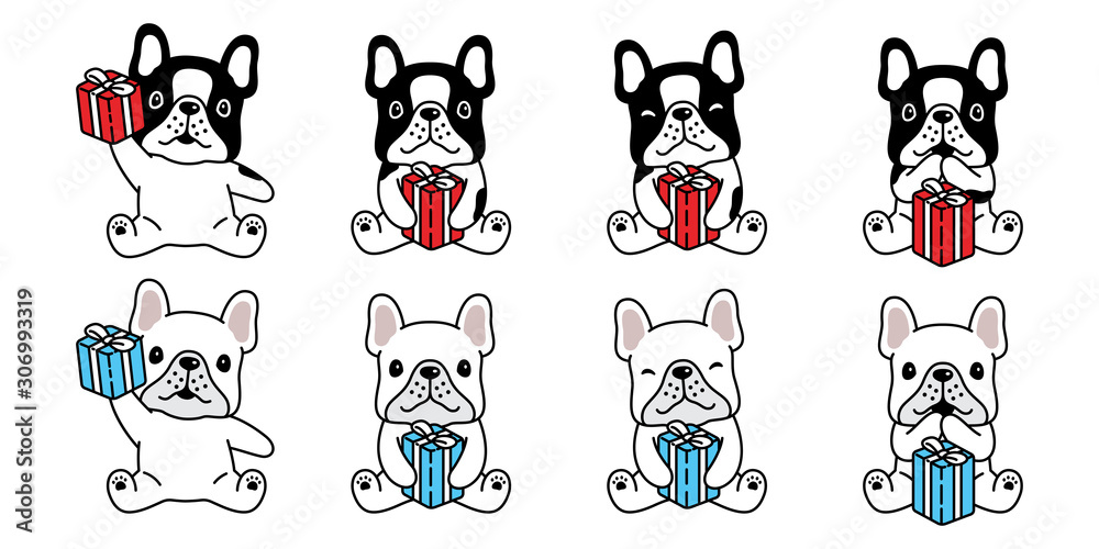 Fototapeta dog vector french bulldog Christmas Gift box Birthday pet icon cartoon character symbol breed illustration doodledesign