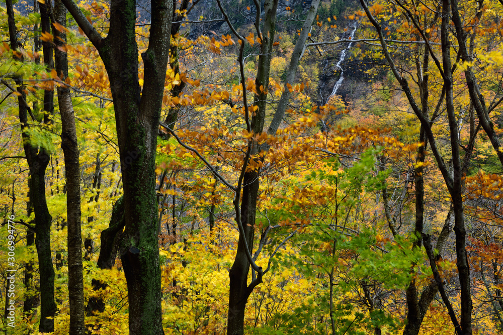 Waterfall from Bear Head peak Mount Mansfield from Smugglers Notch Vermont in Fall