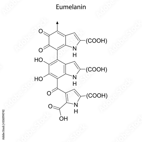 eumelanin Skeletal formula of Chemical element