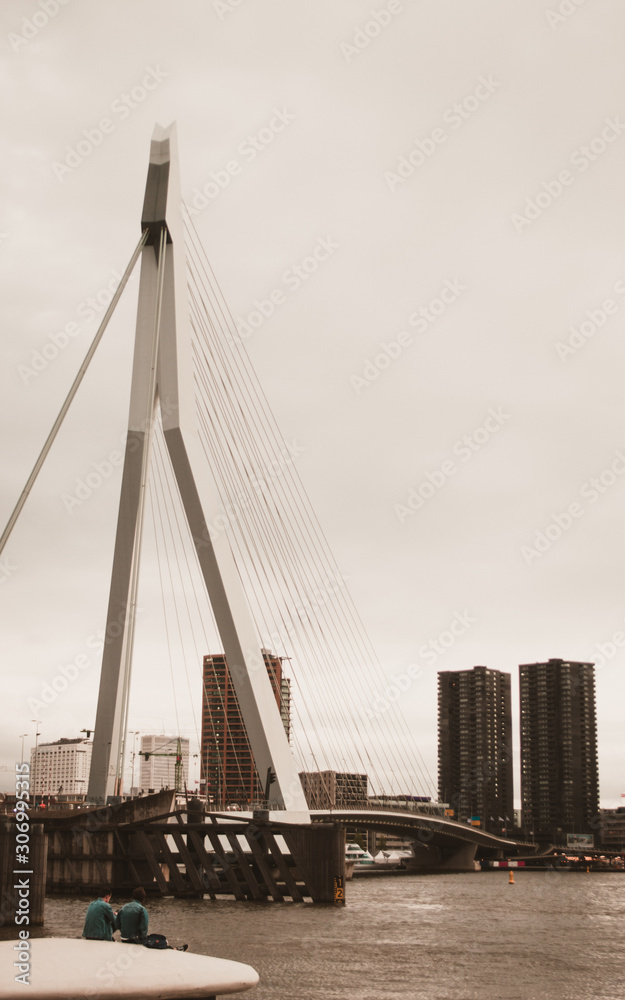 Obraz premium Roterdam landscape