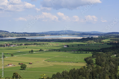 Landscape with green field and blue sky