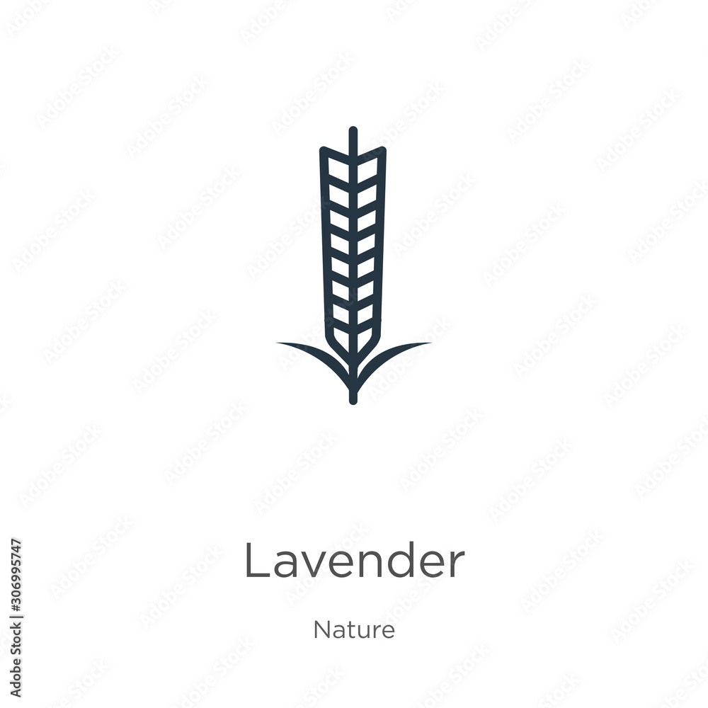 Lavender icon. Thin linear lavender outline icon isolated on white background from nature collection. Line vector lavender sign, symbol for web and mobile