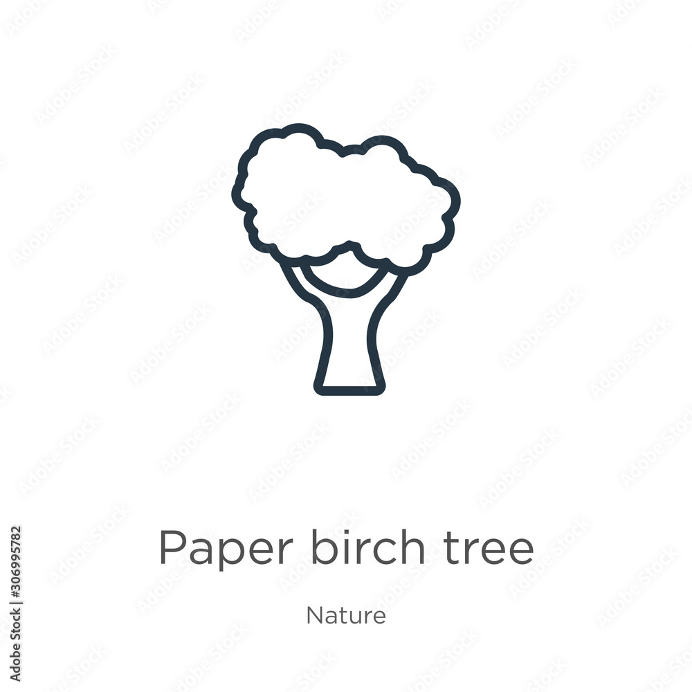 Paper birch tree icon. Thin linear paper birch tree outline icon isolated on white background from nature collection. Line vector paper birch tree sign, symbol for web and mobile Paper birch tree icon. Thin linear paper birch tree outline icon isolated on white background from nature collection. Line vector paper birch tree sign, symbol for web and mobile