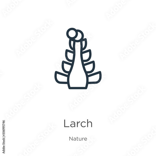Larch icon. Thin linear larch outline icon isolated on white background from nature collection. Line vector larch sign, symbol for web and mobile