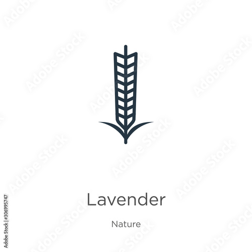 Fototapeta Naklejka Na Ścianę i Meble -  Lavender icon. Thin linear lavender outline icon isolated on white background from nature collection. Line vector lavender sign, symbol for web and mobile