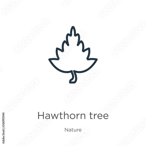 Hawthorn tree icon. Thin linear hawthorn tree outline icon isolated on white background from nature collection. Line vector hawthorn tree sign, symbol for web and mobile