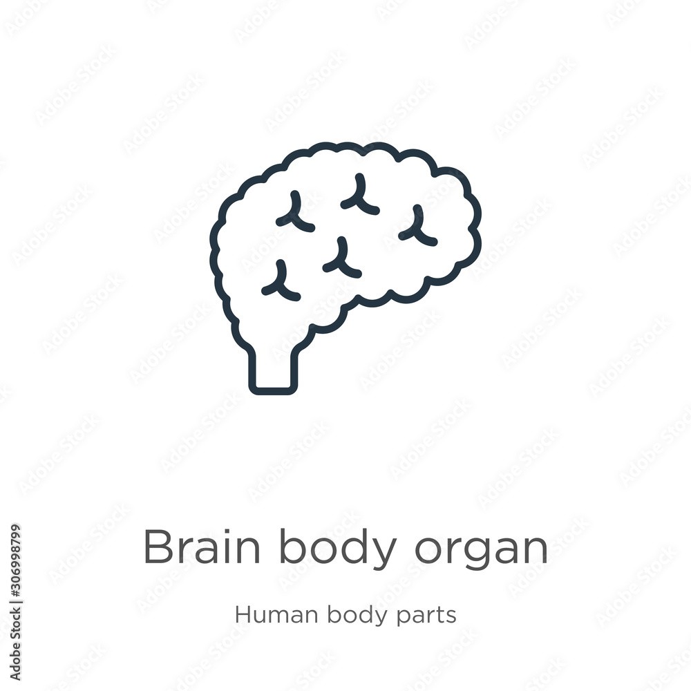 Brain body organ icon. Thin linear brain body organ outline icon isolated on white background from human body parts collection. Line vector brain body organ sign, symbol for web and mobile