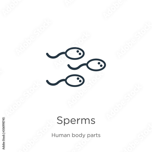 Sperms icon. Thin linear sperms outline icon isolated on white background from human body parts collection. Line vector sperms sign, symbol for web and mobile