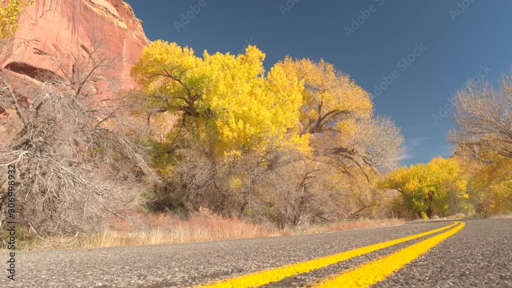 Close up road with yellow line road marking leading trough red rock canyon past stunning bright yellow trees with turning leaves on sunny autumn day