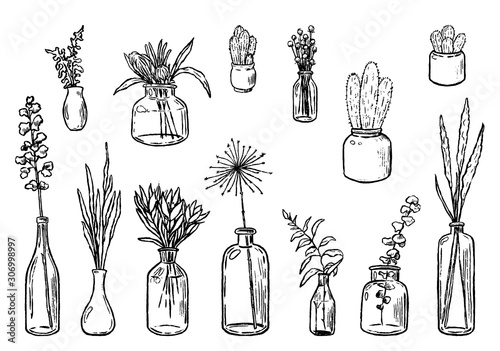 Hand drawn vector illustration. Collection of varied vases, bottles, and jars of flowers and plants. Vintage botanical set. Decorative floral outline elements isolated in white. Details for design.