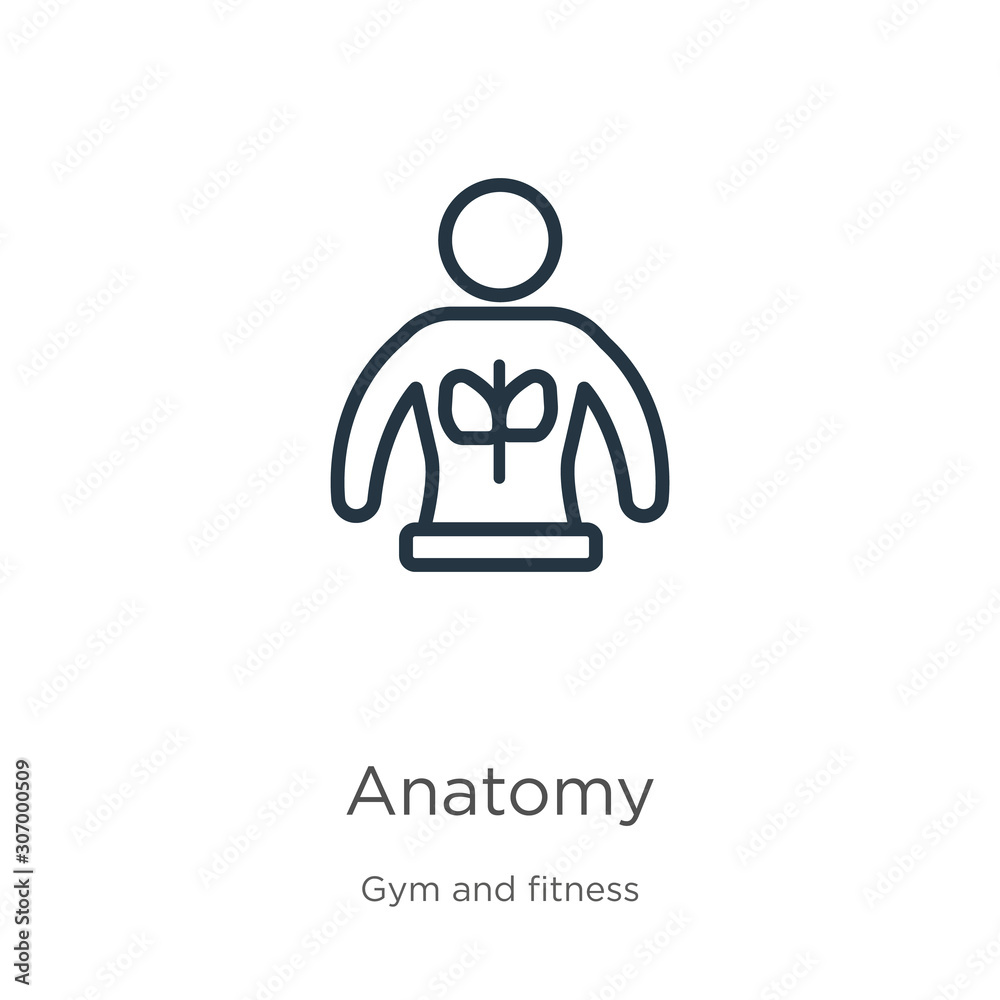 Anatomy icon. Thin linear anatomy outline icon isolated on white background from gym and fitness collection. Line vector anatomy sign, symbol for web and mobile