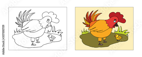 Rooster Cock coloring book design with monochrome and colored versions. Freehand sketch for adult anti stress coloring book page with doodle elements. Vector Illustrations for kids book.